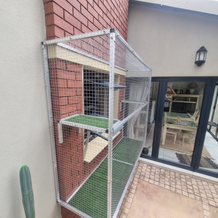 Window Catio 5