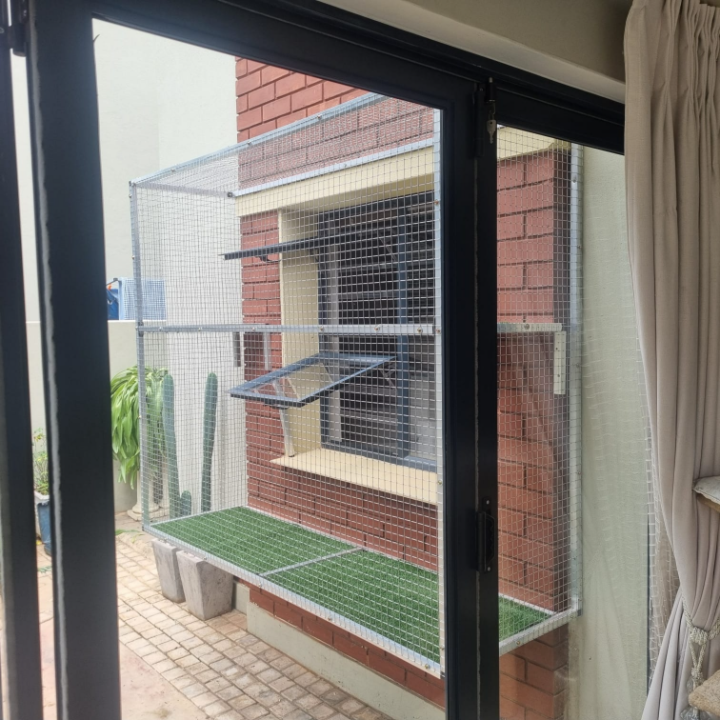 Window Catio 7